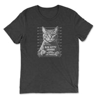 Load image into Gallery viewer, Bad Kitty Triblend T-Shirt Black color
