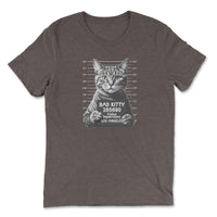 Load image into Gallery viewer, Bad Kitty Triblend T-Shirt Brown color
