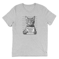 Load image into Gallery viewer, Bad Kitty Triblend T-Shirt White color
