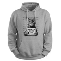 Load image into Gallery viewer, Bad Kitty Hoodie Sport grey color

