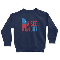 Load image into Gallery viewer, raised right republican youth sweatshirt
