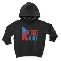 Load image into Gallery viewer, raised right youth hooded sweatshirt
