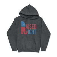 Load image into Gallery viewer, Raised Right Youth Hoodie | Dark Heather
