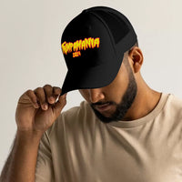 Load image into Gallery viewer, trumpamania 2024 model
