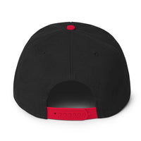Load image into Gallery viewer, Skate Daily Snapback Hat red black color back view
