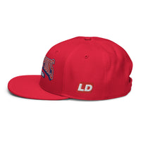 Load image into Gallery viewer, Presidential Champs Snapback Hat red color
